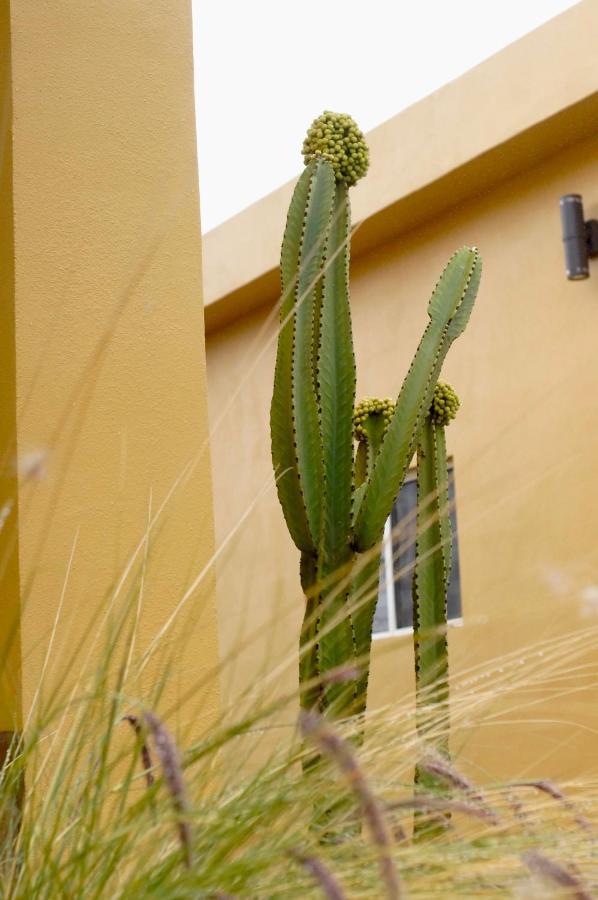 Cozy & Quiet Pet Friendly Studio Ensenada Exteriér fotografie